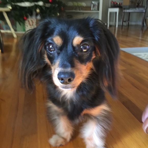 Meet your Posher, James - Picture 1 of 1